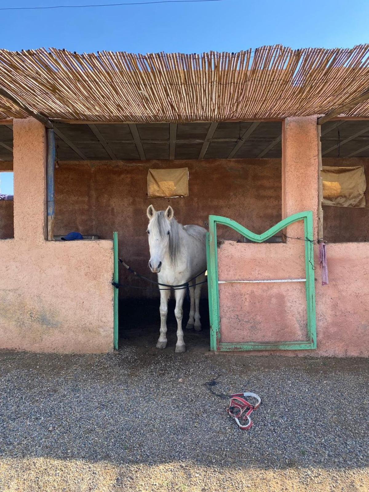 Les Cavaliers Chez Yassine Villa Marrakesh Exterior photo