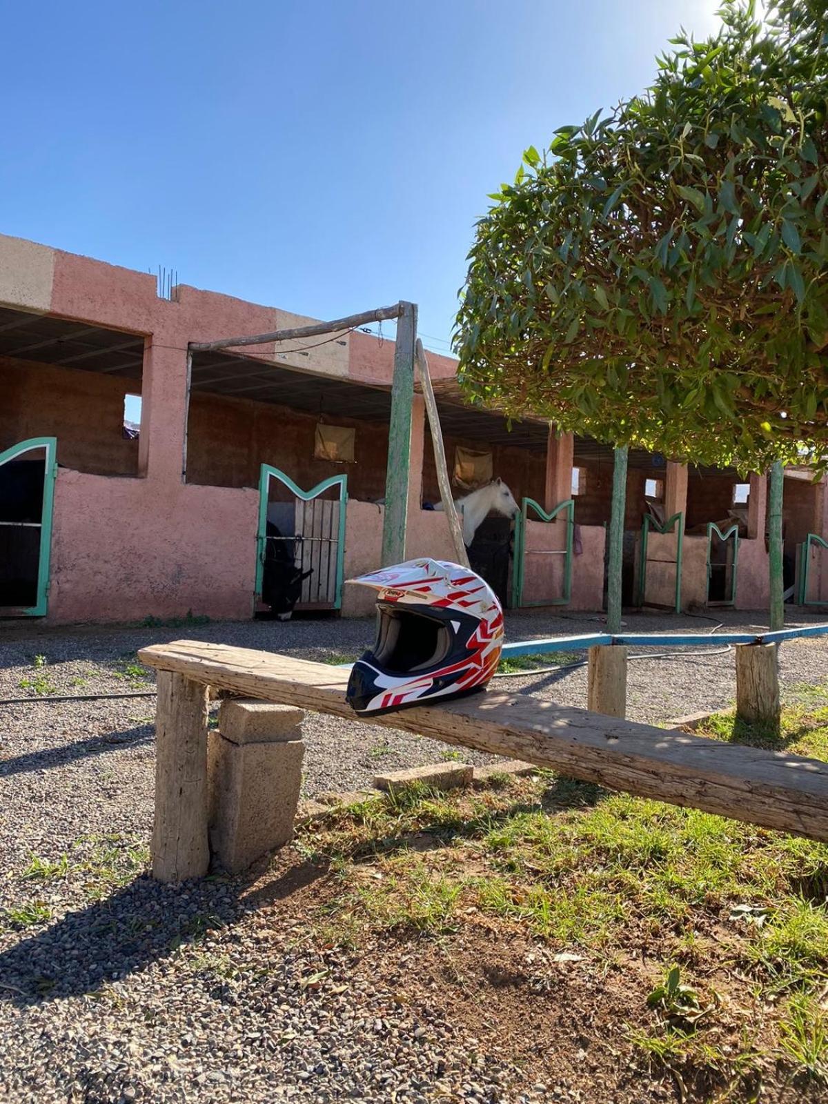 Les Cavaliers Chez Yassine Villa Marrakesh Exterior photo